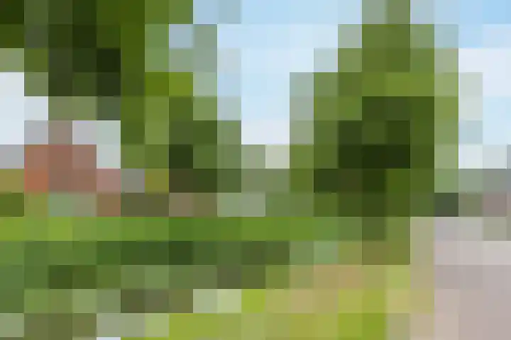Molenvaartje 21 's Gravenmoer thumbnail 32