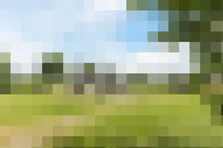 Molenvaartje 21 's Gravenmoer thumbnail 33