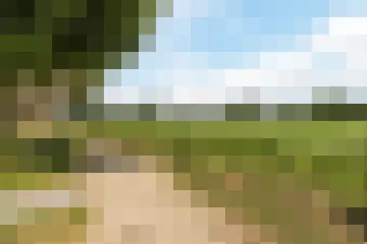 Molenvaartje 21 's Gravenmoer thumbnail 34