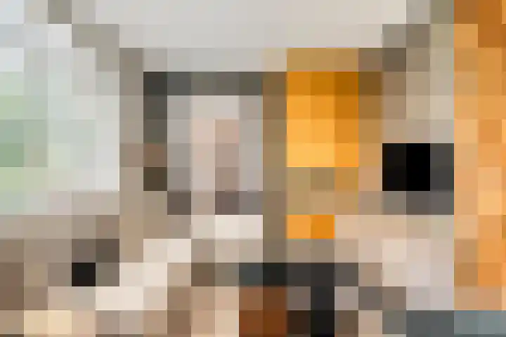 Molenvaartje 33 's Gravenmoer thumbnail 12
