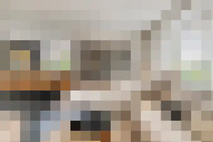 Molenvaartje 33 's Gravenmoer thumbnail 13
