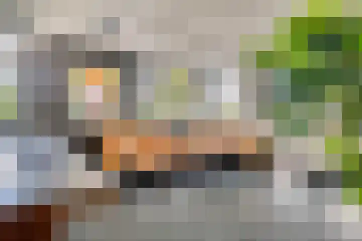 Molenvaartje 33 's Gravenmoer thumbnail 15
