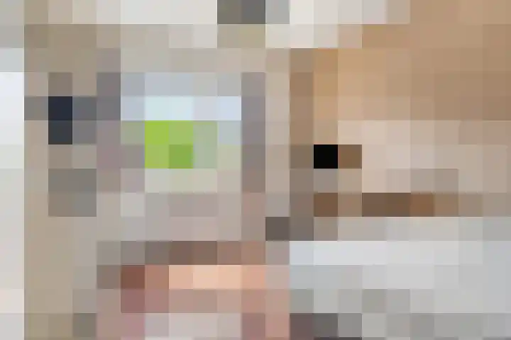 Molenvaartje 33 's Gravenmoer thumbnail 20