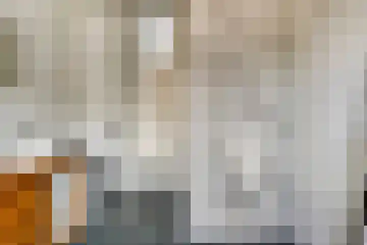 Molenvaartje 33 's Gravenmoer thumbnail 27