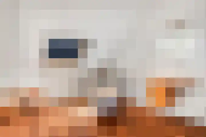 Molenvaartje 33 's Gravenmoer thumbnail 32
