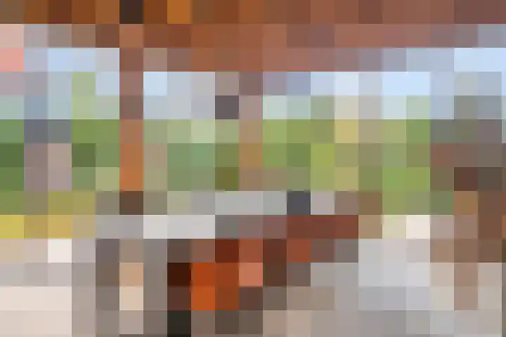Molenvaartje 33 's Gravenmoer thumbnail 36