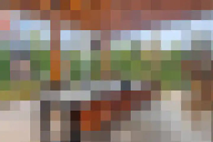 Molenvaartje 33 's Gravenmoer thumbnail 37