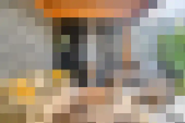 Molenvaartje 33 's Gravenmoer thumbnail 38