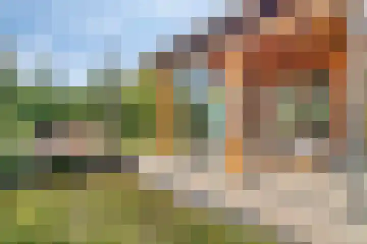 Molenvaartje 33 's Gravenmoer thumbnail 40