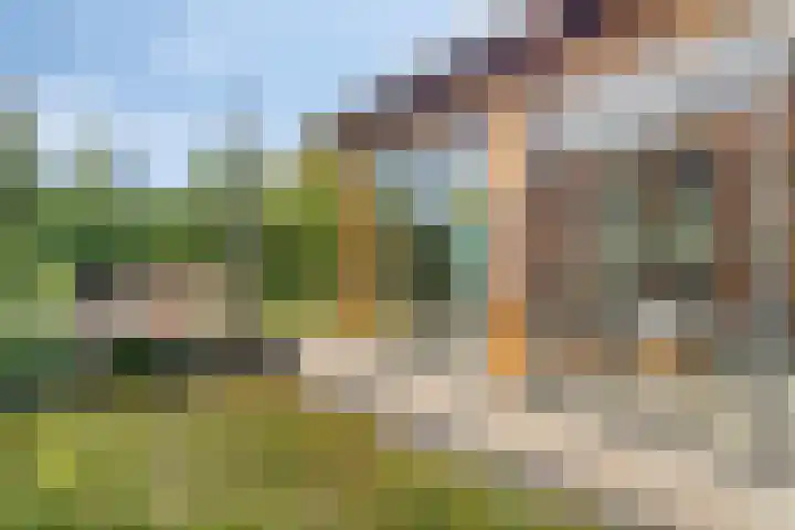 Molenvaartje 33 's Gravenmoer thumbnail 41
