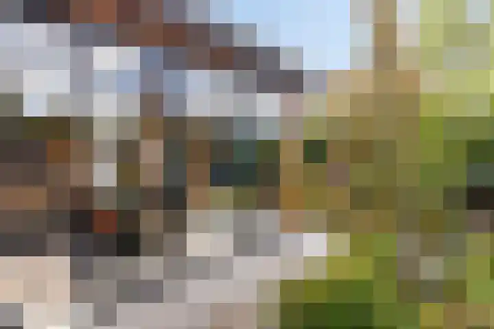 Molenvaartje 33 's Gravenmoer thumbnail 44