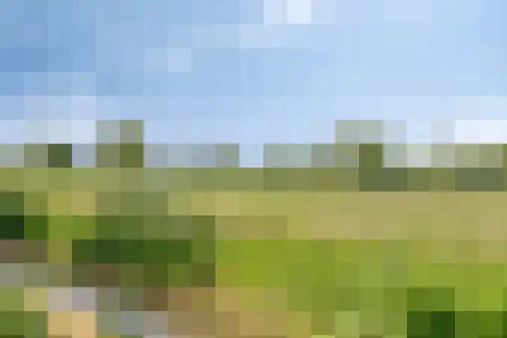 Molenvaartje 33 's Gravenmoer thumbnail 45