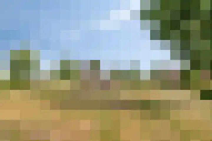Molenvaartje 33 's Gravenmoer thumbnail 47