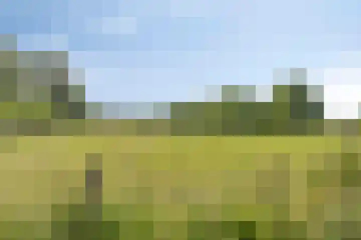 Molenvaartje 33 's Gravenmoer thumbnail 48