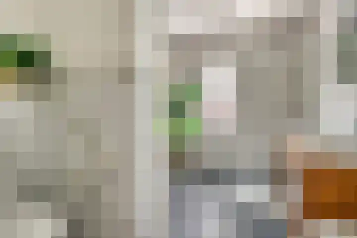 Molenvaartje 33 's Gravenmoer thumbnail 5