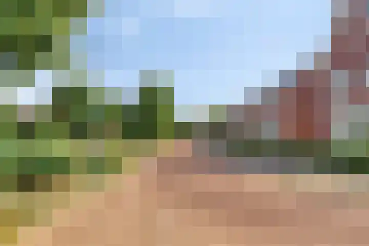 Molenvaartje 33 's Gravenmoer thumbnail 9