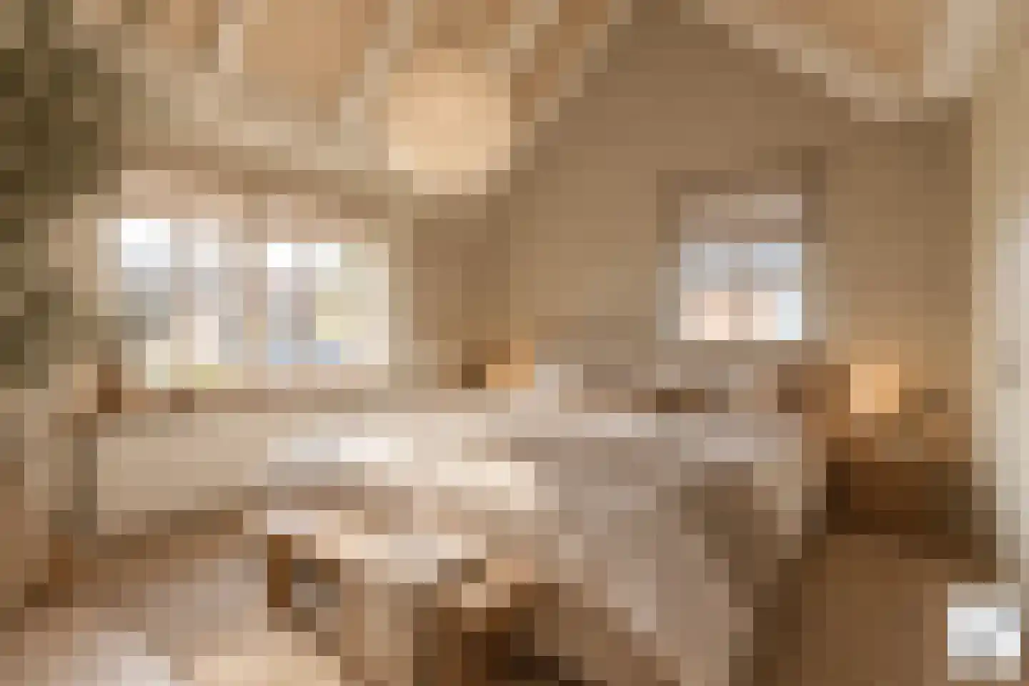 Molenveenweg 8 Blaricum thumbnail 16
