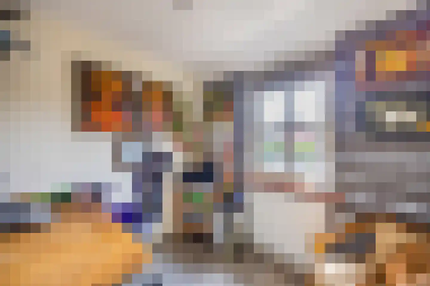 Molenveenweg 8 Blaricum thumbnail 18