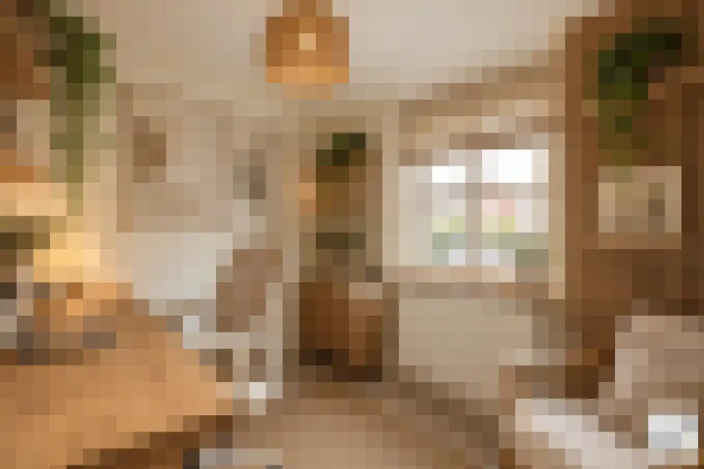 Molenveenweg 8 Blaricum thumbnail 19