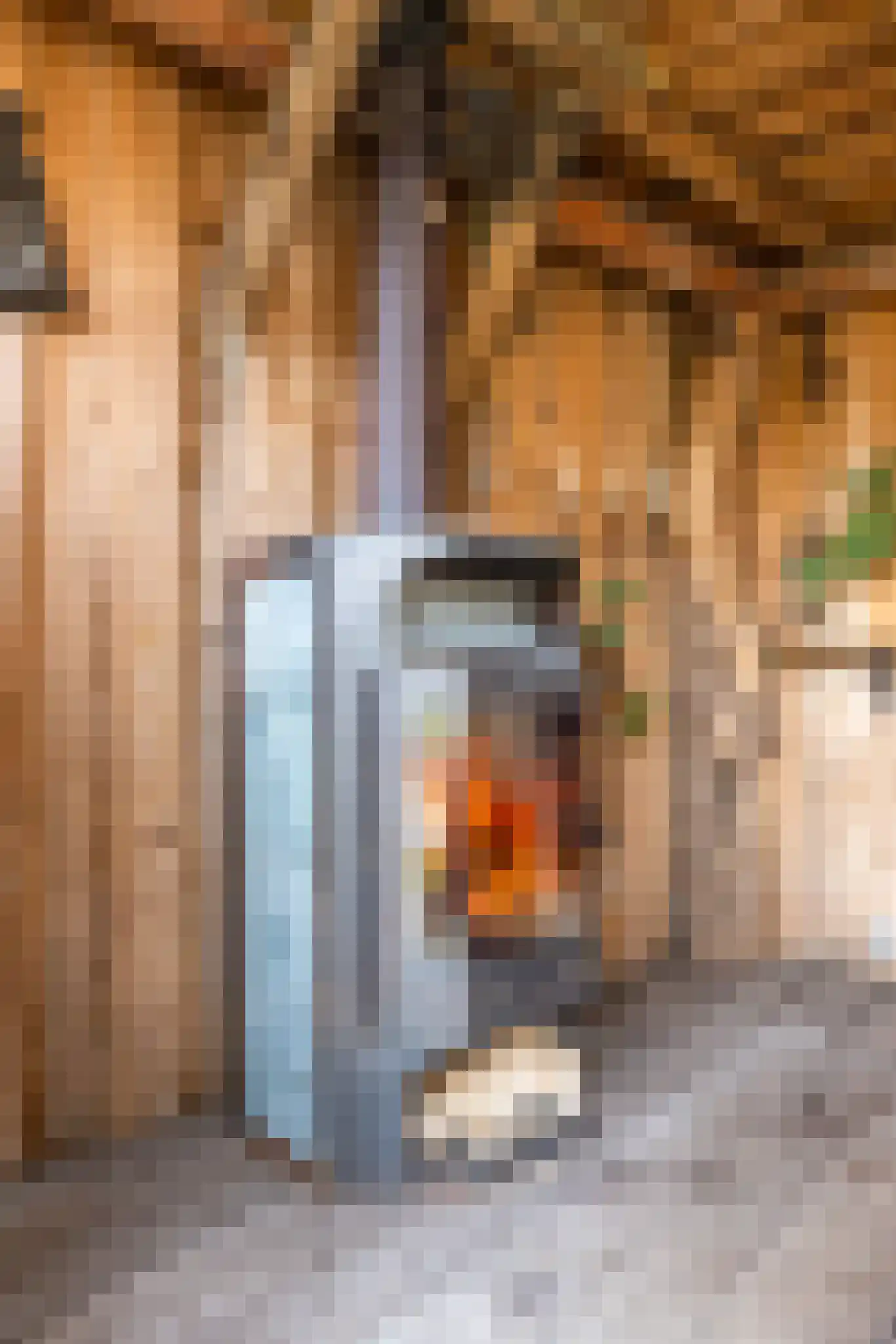 Molenveenweg 8 Blaricum thumbnail 20