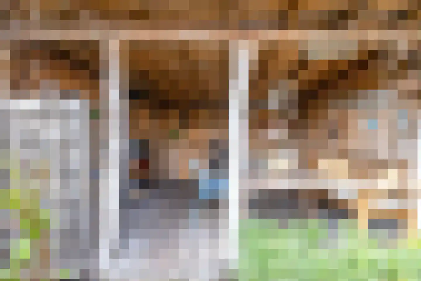 Molenveenweg 8 Blaricum thumbnail 22