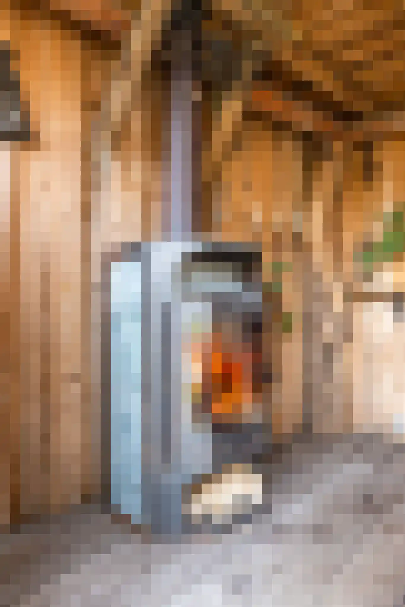 Molenveenweg 8 Blaricum thumbnail 23