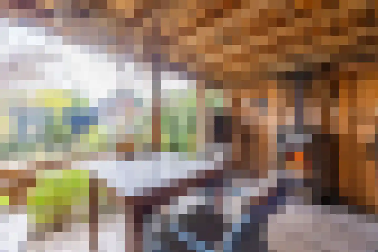 Molenveenweg 8 Blaricum thumbnail 24