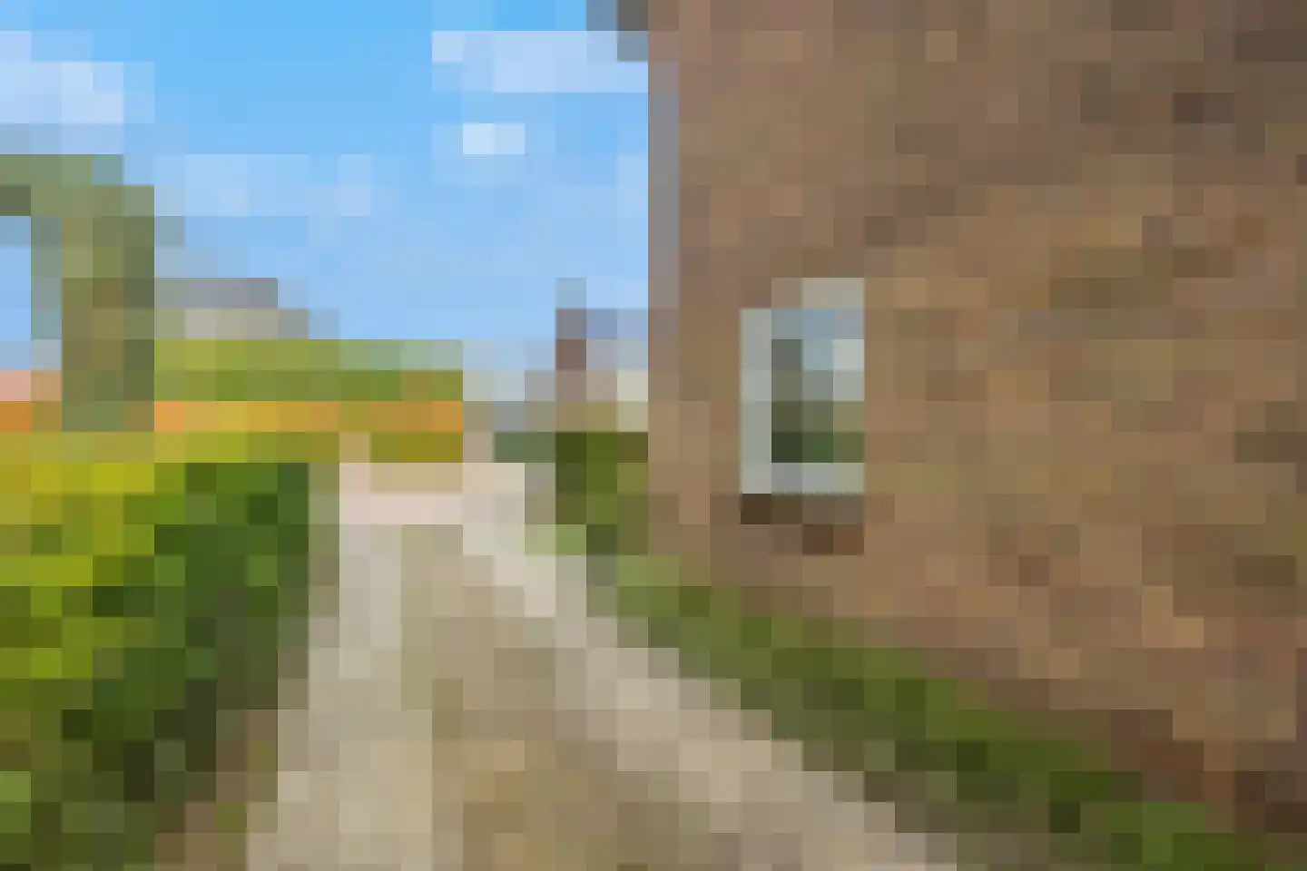 Molenveenweg 8 Blaricum thumbnail 31