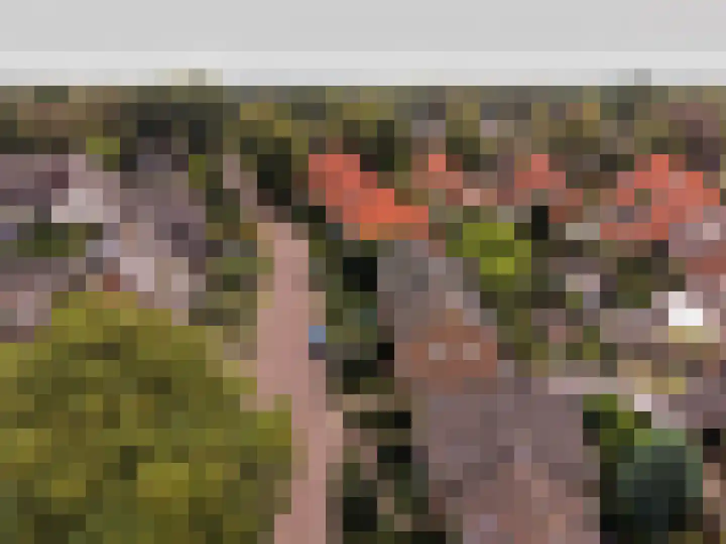 Molenveenweg 8 Blaricum thumbnail 34