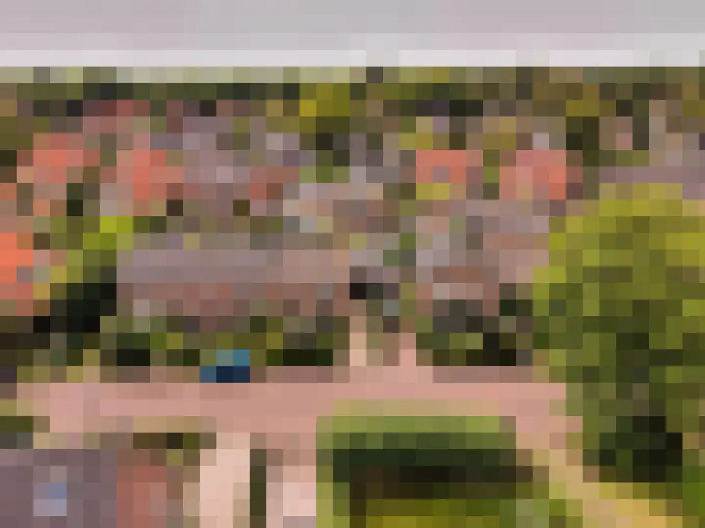 Molenveenweg 8 Blaricum thumbnail 35