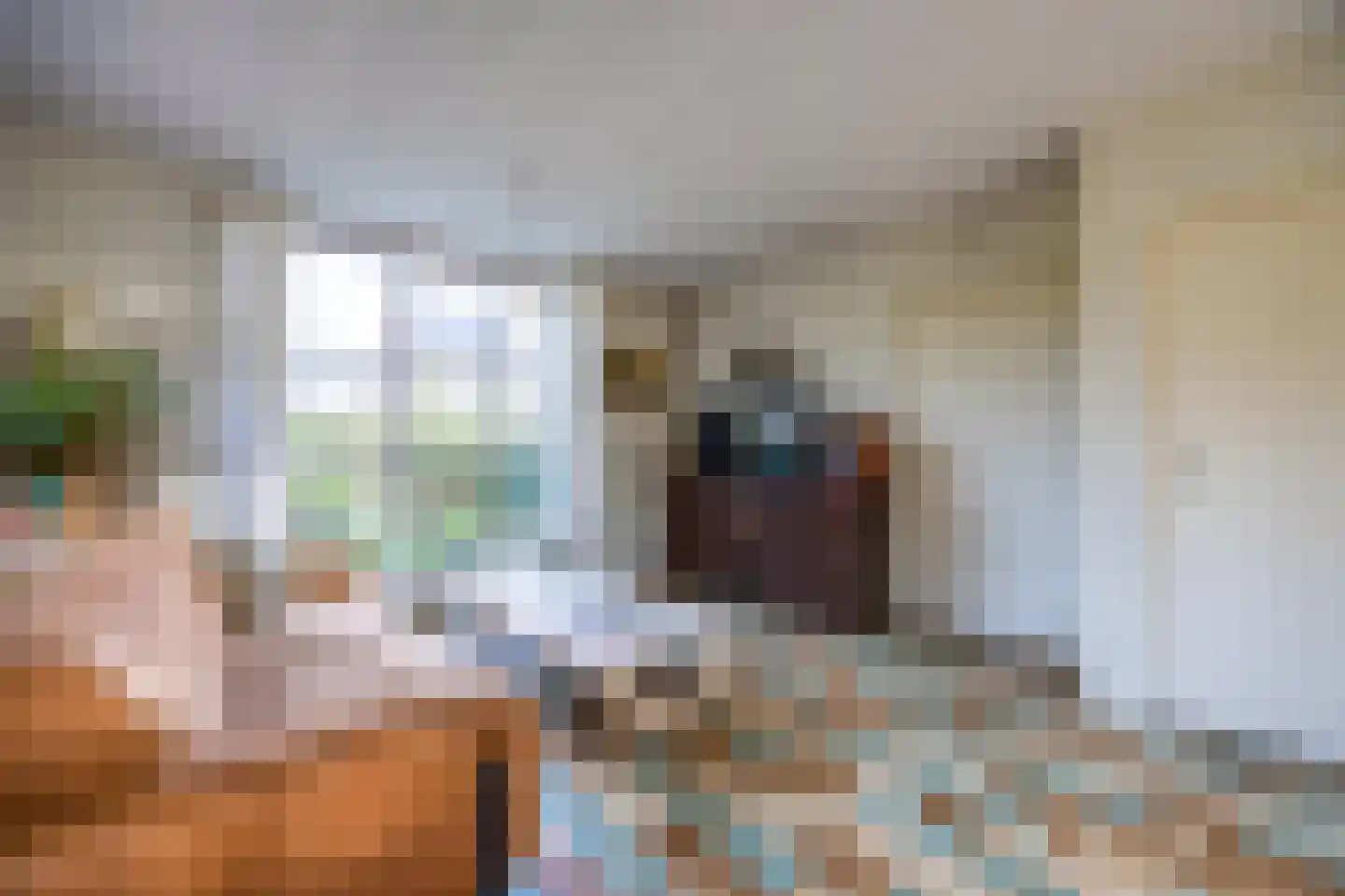 Molenveenweg 8 Blaricum thumbnail 6