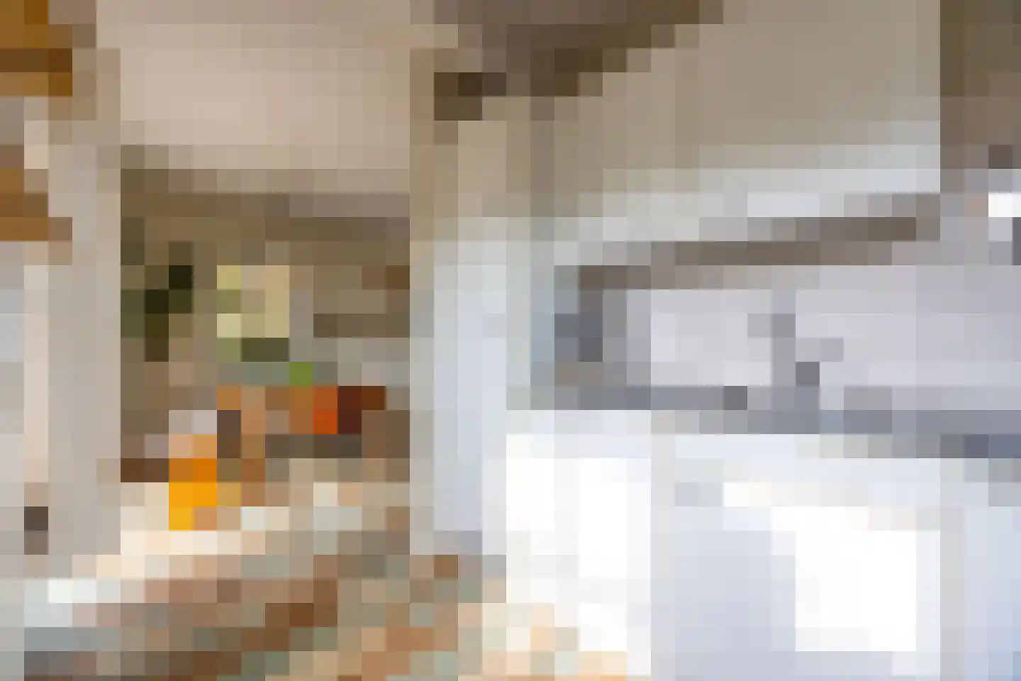 Molenveenweg 8 Blaricum thumbnail 9