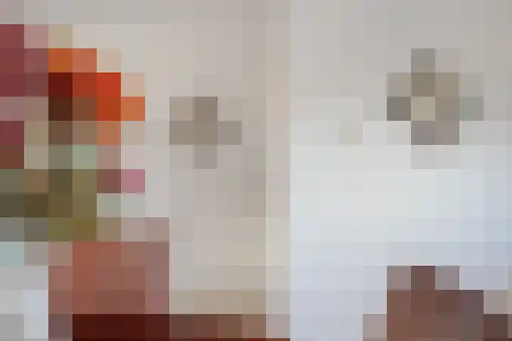Molenveld 13 Koog aan de Zaan thumbnail 11