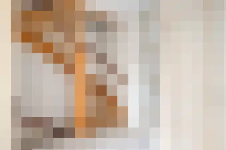 Molenveld 13 Koog aan de Zaan thumbnail 13