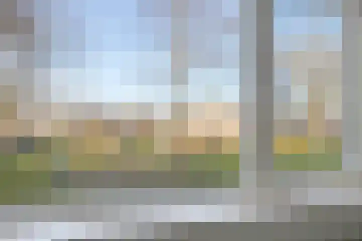 Molenveld 13 Koog aan de Zaan thumbnail 22