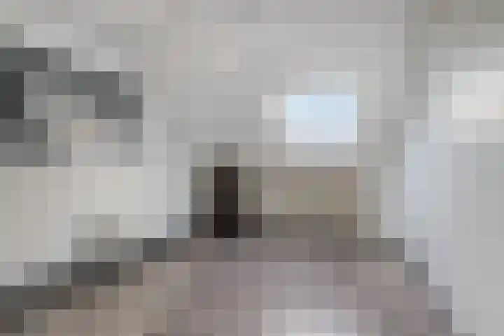 Molenveld 13 Koog aan de Zaan thumbnail 23