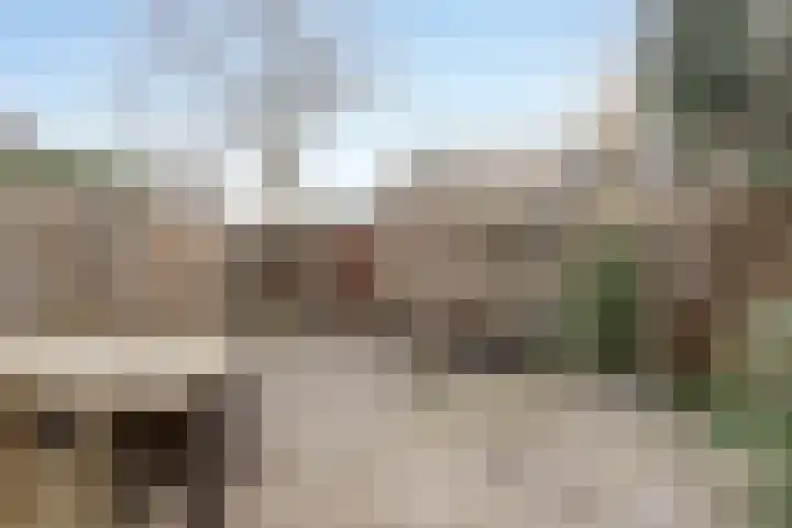 Molenveld 13 Koog aan de Zaan thumbnail 26
