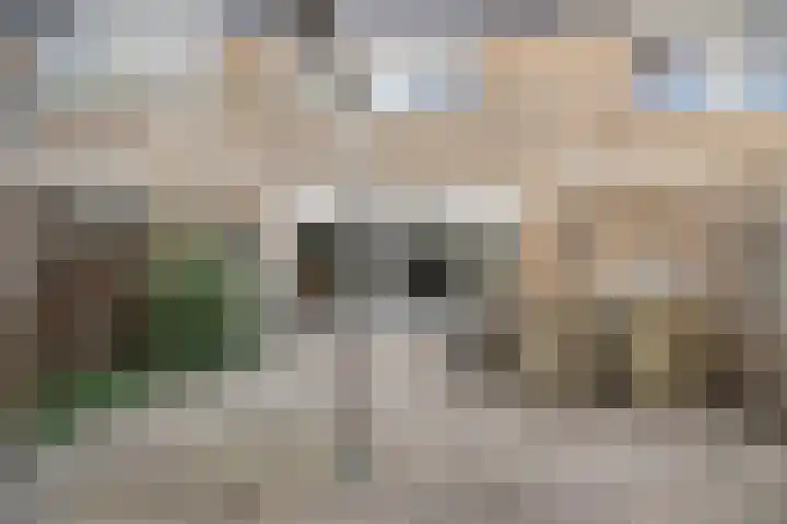 Molenveld 13 Koog aan de Zaan thumbnail 27