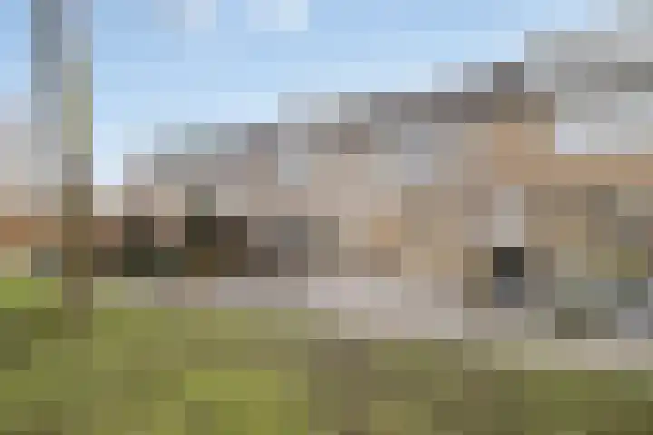 Molenveld 13 Koog aan de Zaan thumbnail 28