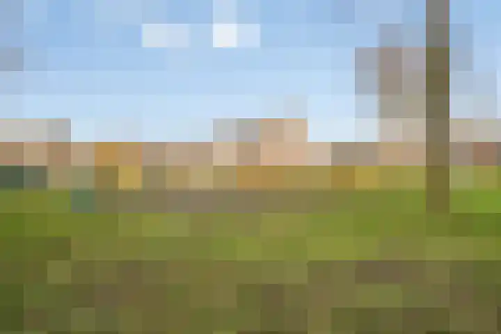 Molenveld 13 Koog aan de Zaan thumbnail 30