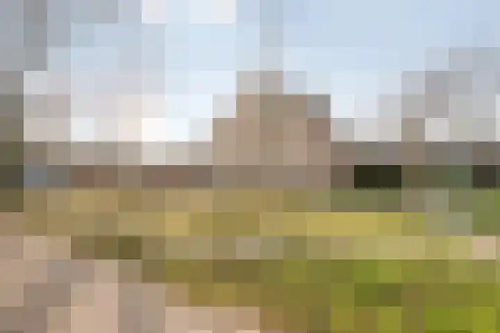 Molenveld 13 Koog aan de Zaan thumbnail 31