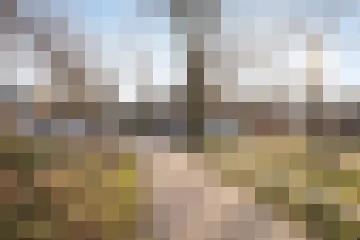 Molenveld 13 Koog aan de Zaan thumbnail 32