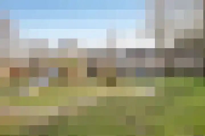 Molenveld 13 Koog aan de Zaan thumbnail 33