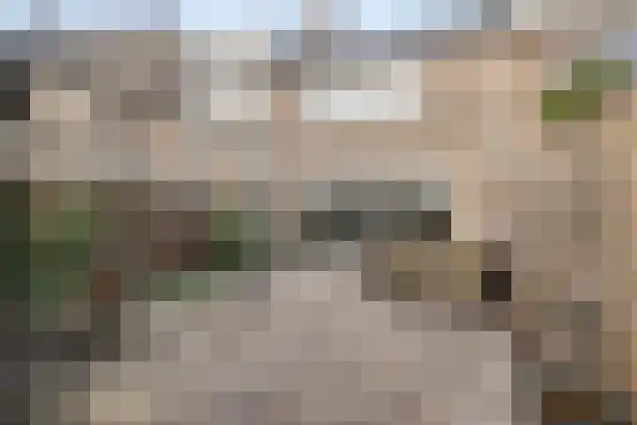 Molenveld 13 Koog aan de Zaan thumbnail 4