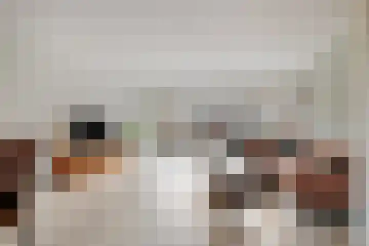 Molenveld 13 Koog aan de Zaan thumbnail 7