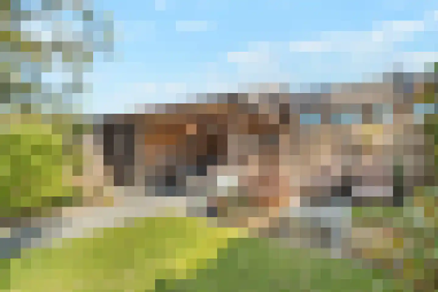 Molenveld 16 Anna Paulowna thumbnail 4