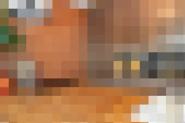 Molenveld 19 Anna Paulowna thumbnail 18