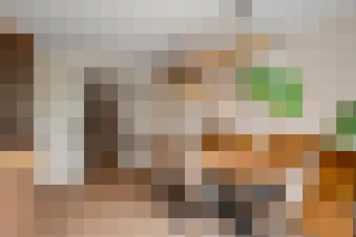 Molenveld 19 Anna Paulowna thumbnail 19