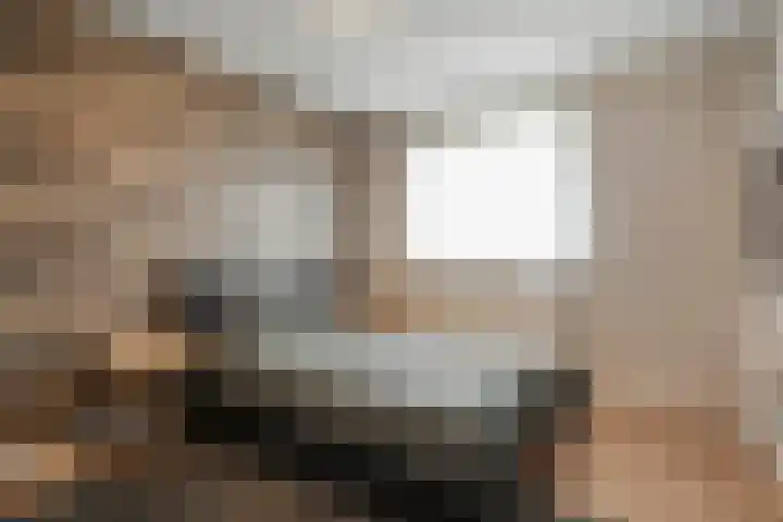 Molenveld 19 Anna Paulowna thumbnail 26