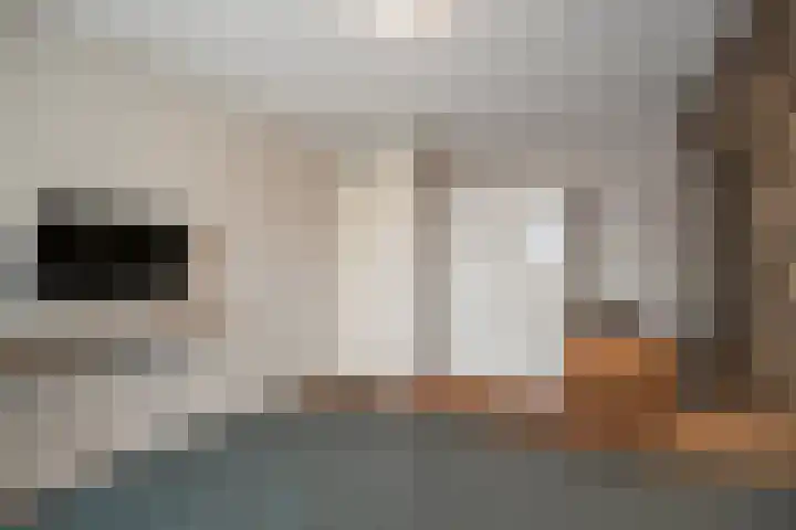 Molenveld 19 Anna Paulowna thumbnail 27